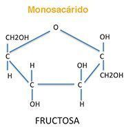 monosacárido