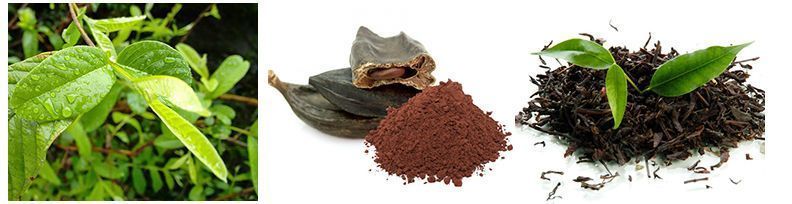 remedios naturales para la diarrea