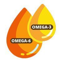omega 3 y omega 6