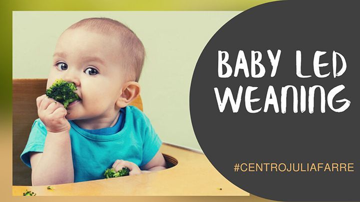 Baby Led Weaning – Alimentación complementaria del bebé