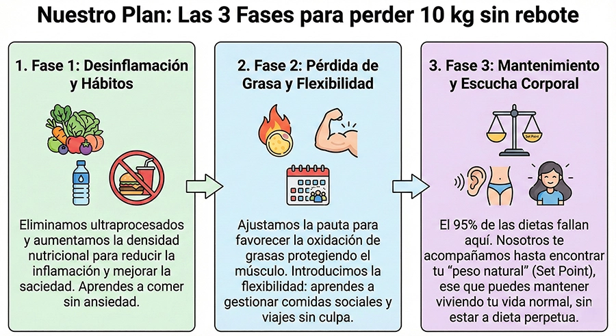 Gráfico de las 3 fases para adelgazar 10 kilos: desinflamación, pérdida de grasa y mantenimiento